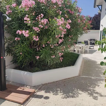 Avec Terrasse, 2 Chambres, Proche - 4 Pers - Fr-1-494-198 Lägenhet *