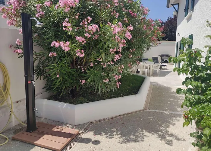 Avec Terrasse, 2 Chambres, Proche - 4 Pers - Fr-1-494-198 Apartmán *